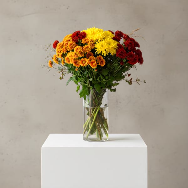 Bright chrysanthemums