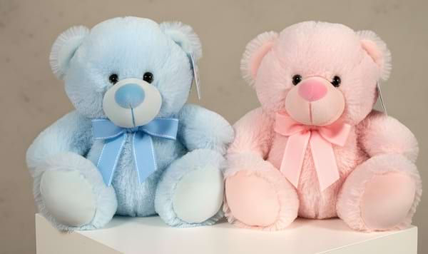 medium pink blue teddy