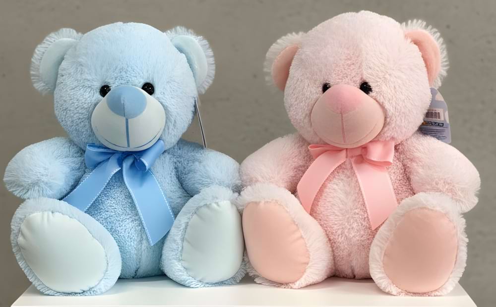 Pink or Blue Teddy