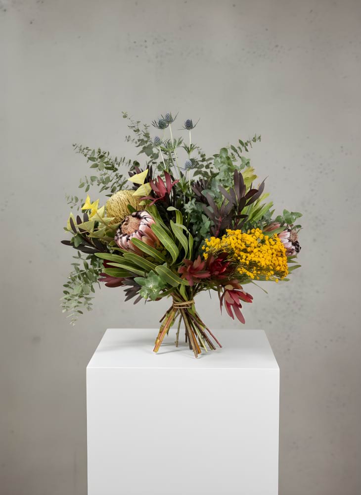 Native Wildflowers