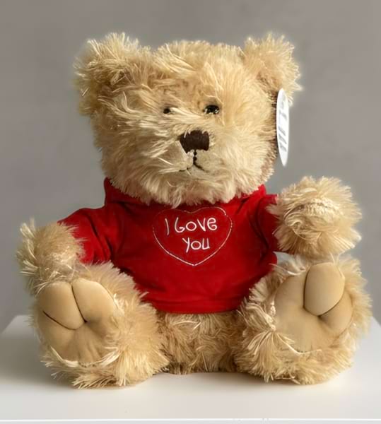 I love you teddy