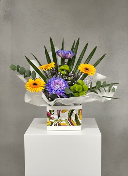 BRIGHT ARRANGEMENT